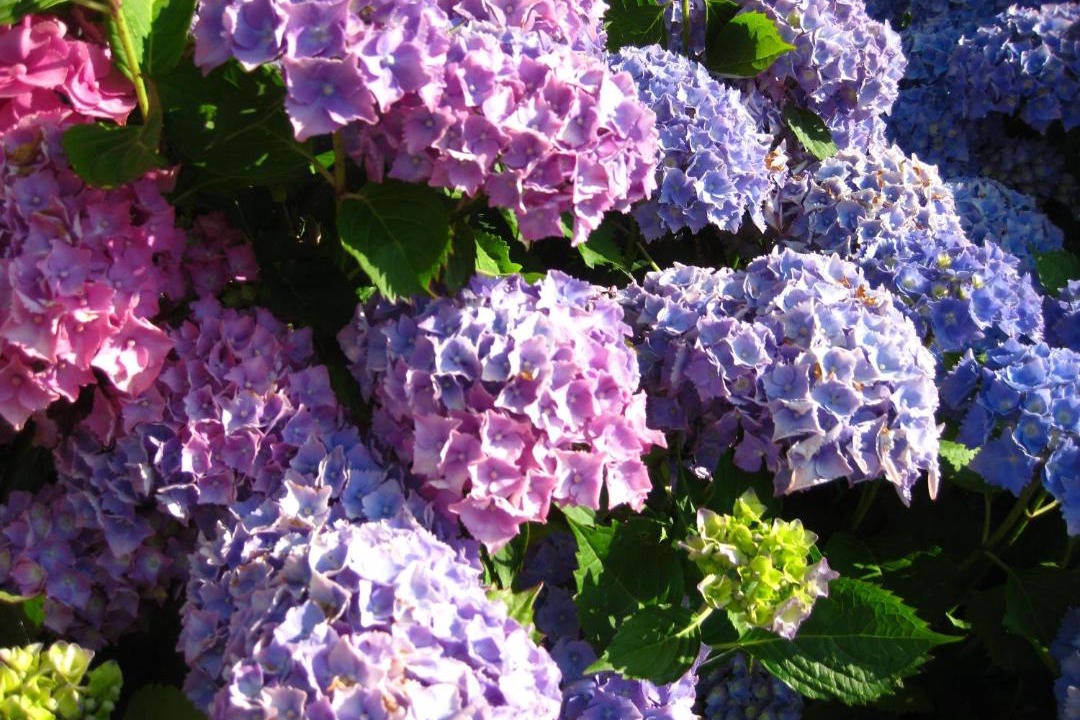 Photo of Others in Cleuville