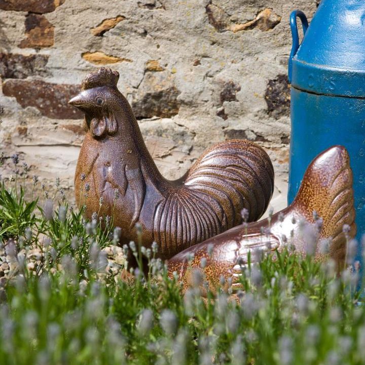 Photo of Others in Hexham