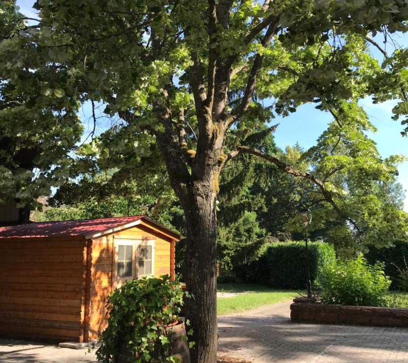 Photo of Others in Wissembourg