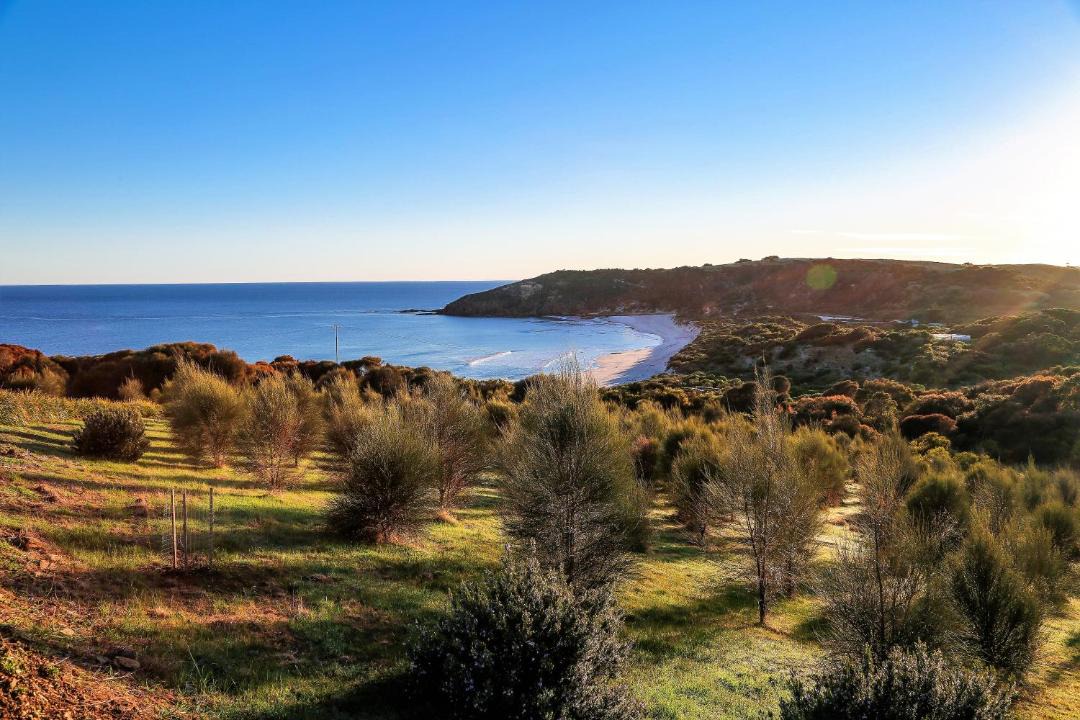 Photo of Others in Duncan