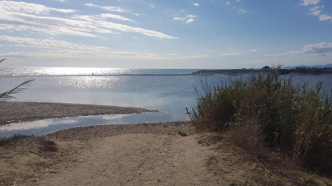 Photo of Others in Le Barcares