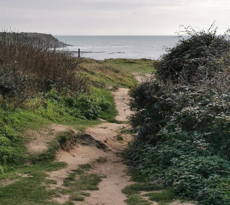 Photo of Others in Wierre-Effroy