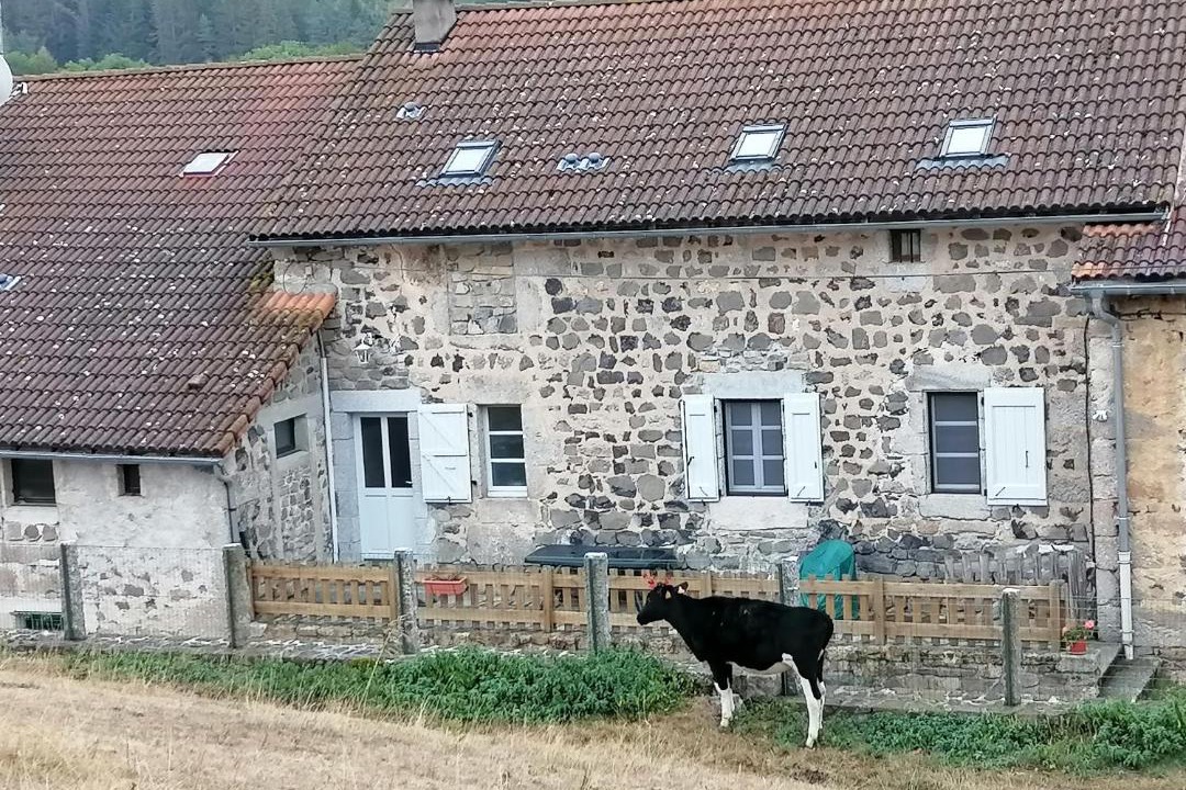 Photo of Others in Le Malzieu-Ville