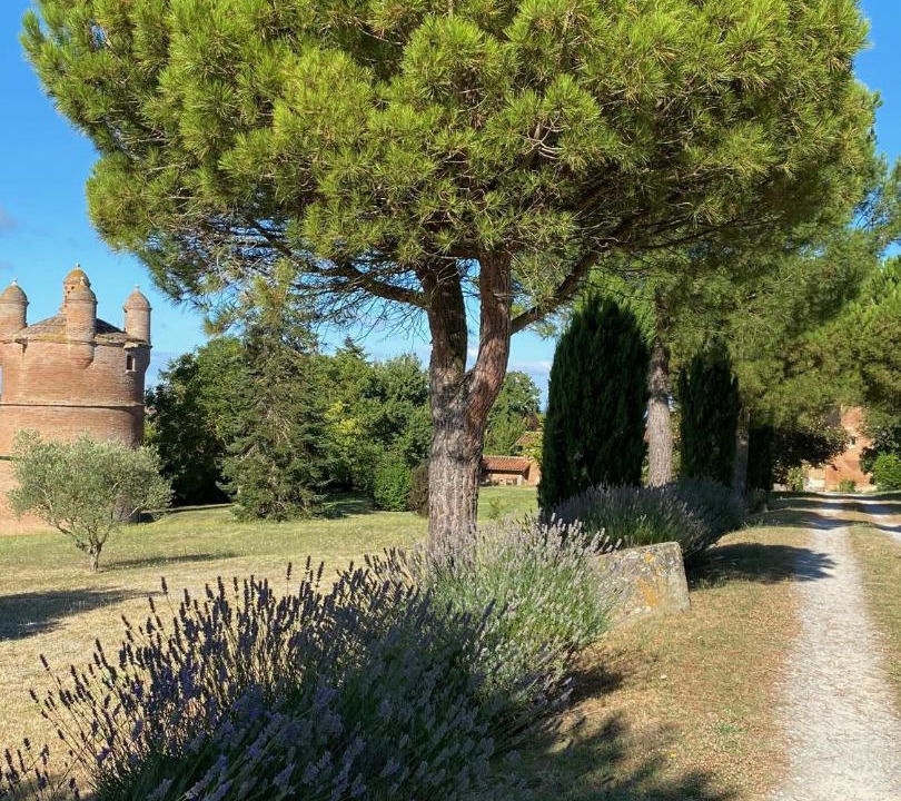 Photo of Others in Cintegabelle