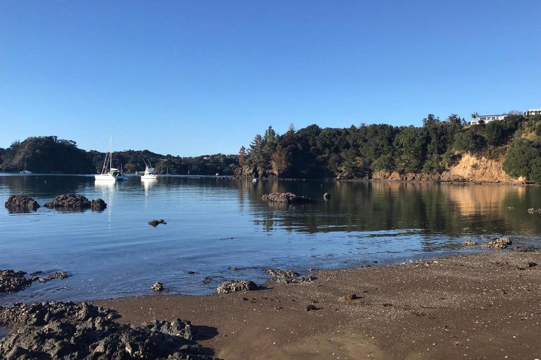 Photo of Outdoor in Tutukaka