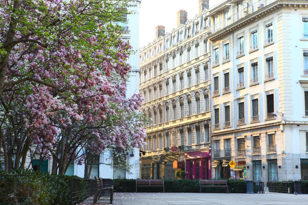 Photo of Buildings in Bellecour - Hotel Dieu