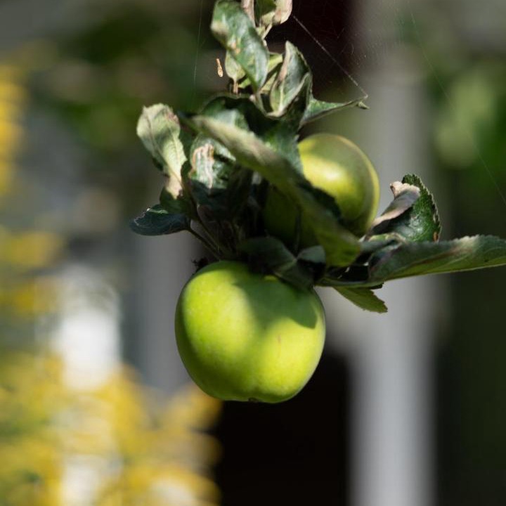 Photo of Others in Cambridge