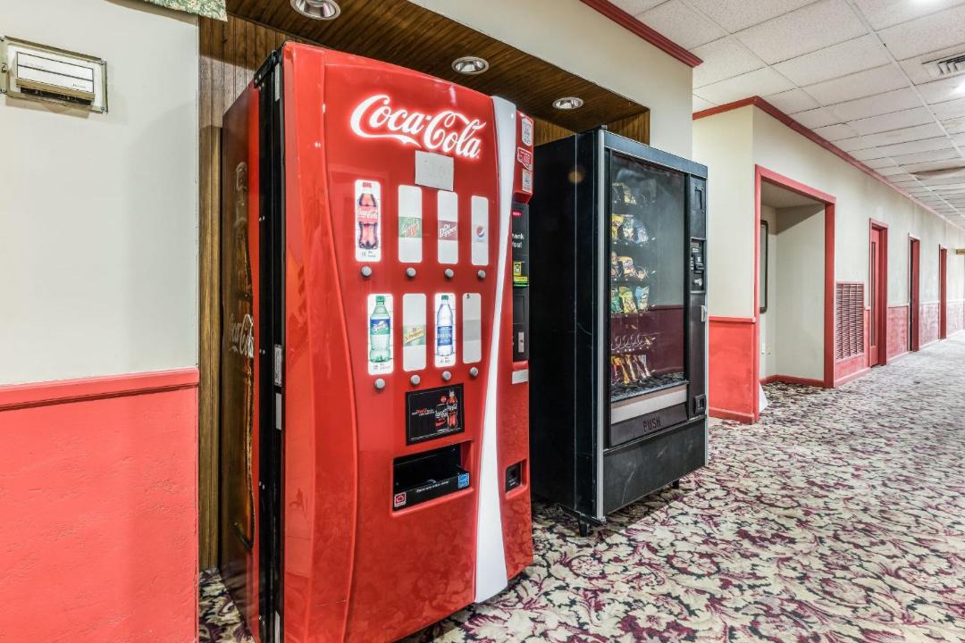 Photo of Others in Harleigh