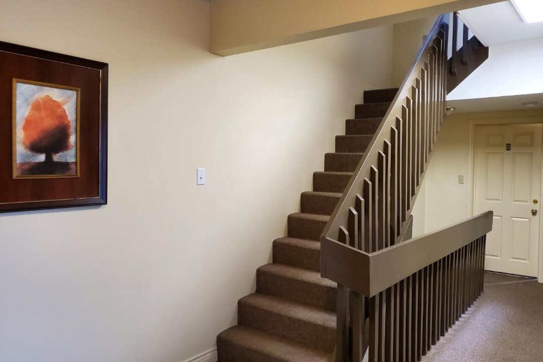 Photo of Others in Downtown St. John's