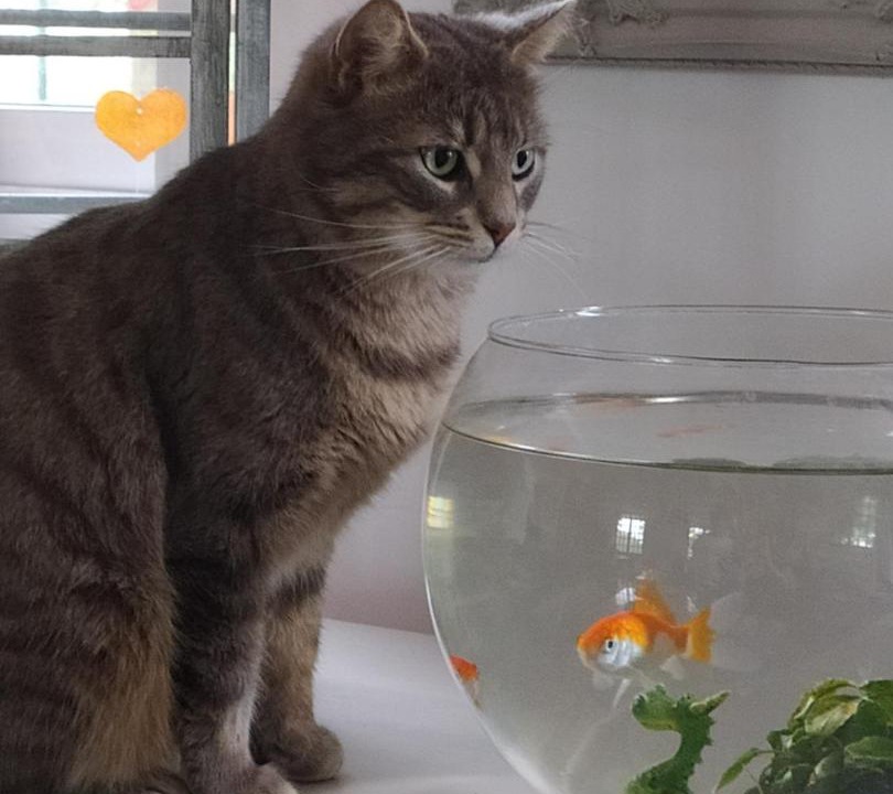 Photo of Others in Vouvray-sur-Loir