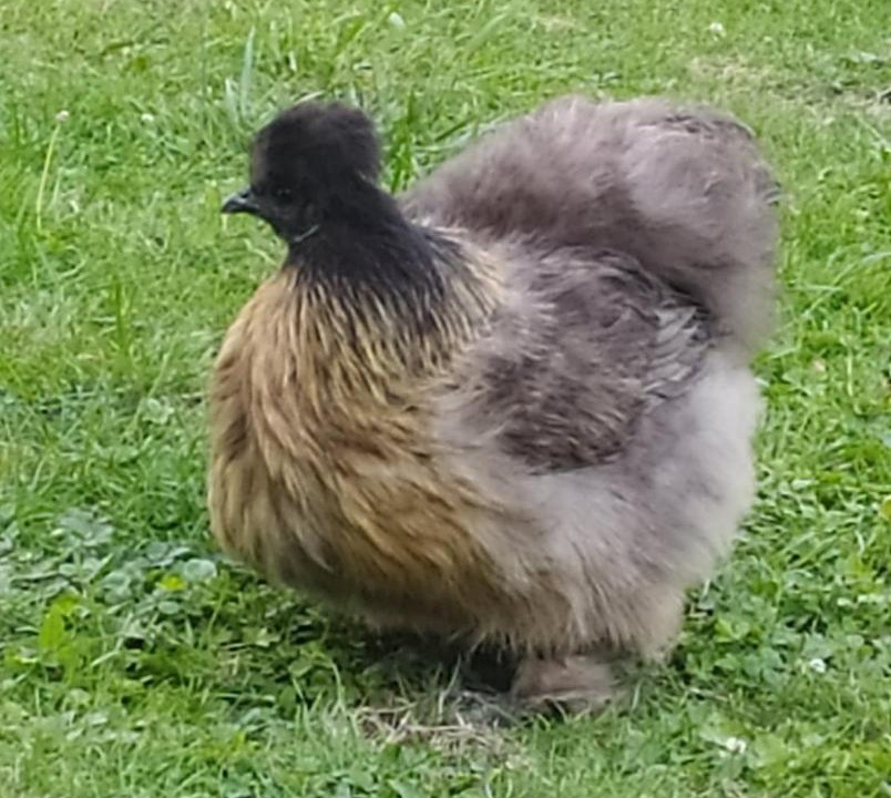 Photo of Others in Vouvray-sur-Loir