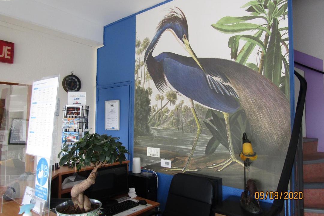 Photo of Others in Mareuil-Sur-Lay-Dissais