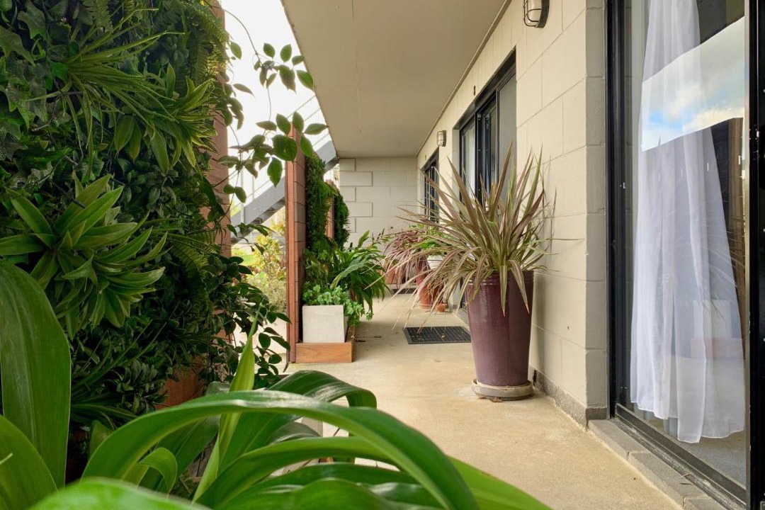 Photo of Others in Apollo Bay