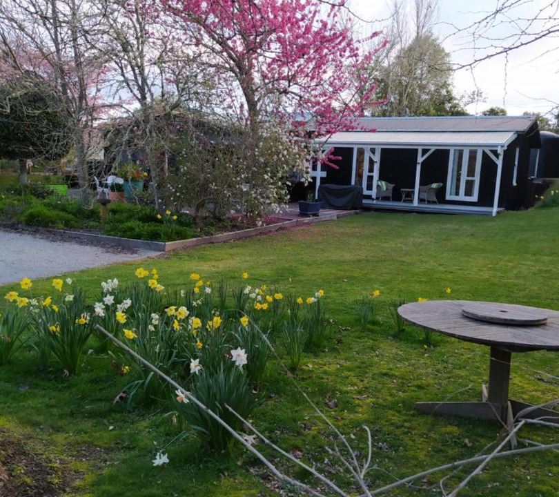 Photo of Buildings in Acacia Bay