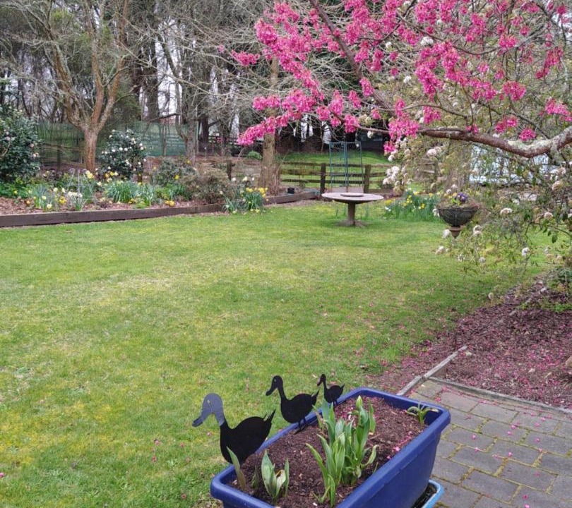 Photo of Others in Acacia Bay