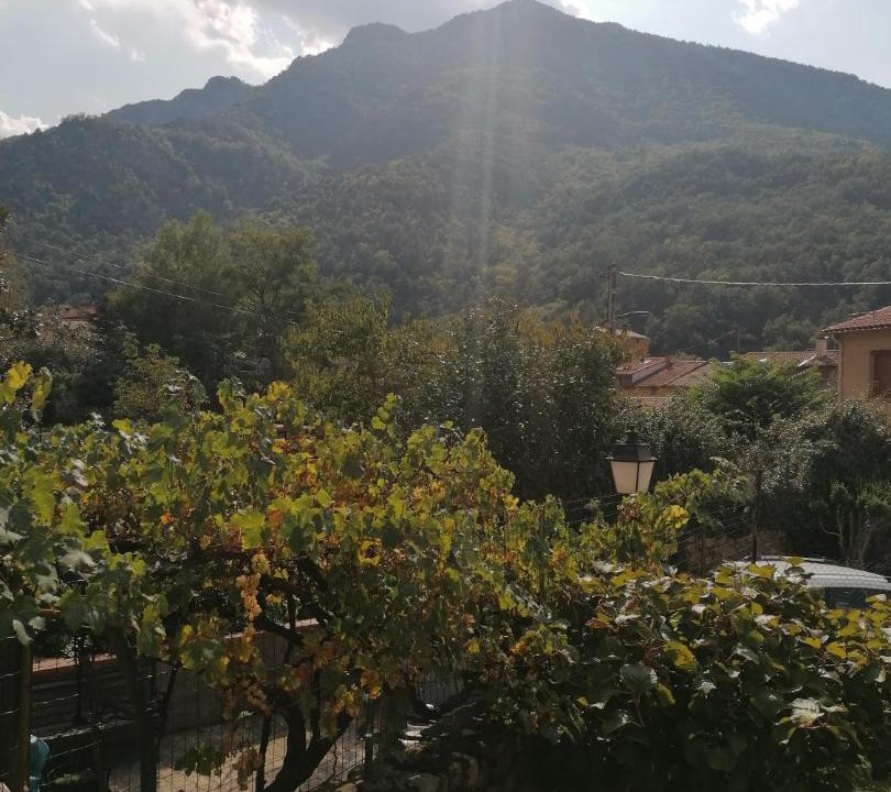 Photo of Outdoor in Sahorre