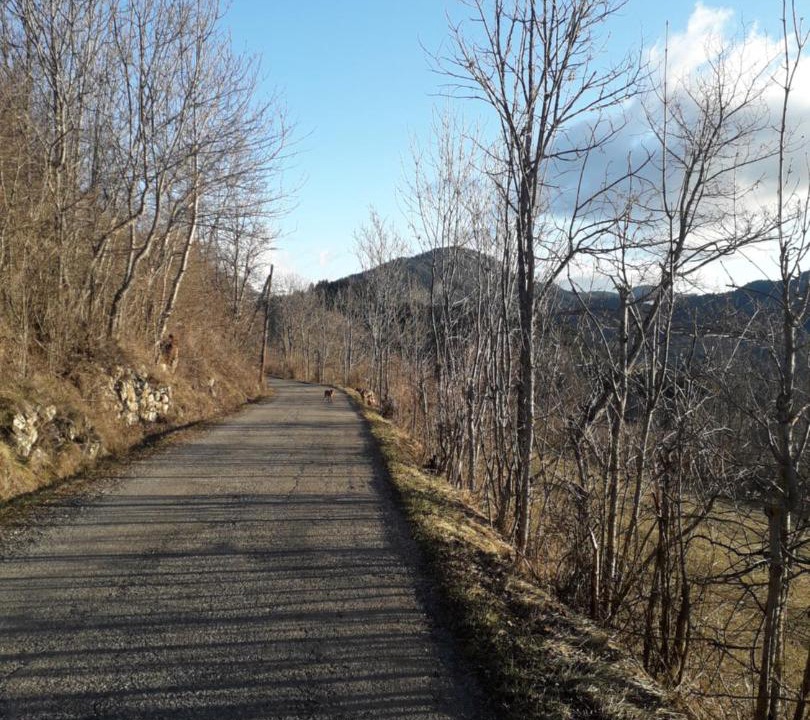 Photo of Others in Seyne