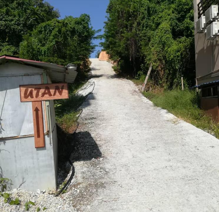 Photo of Others in Teluk Nipah