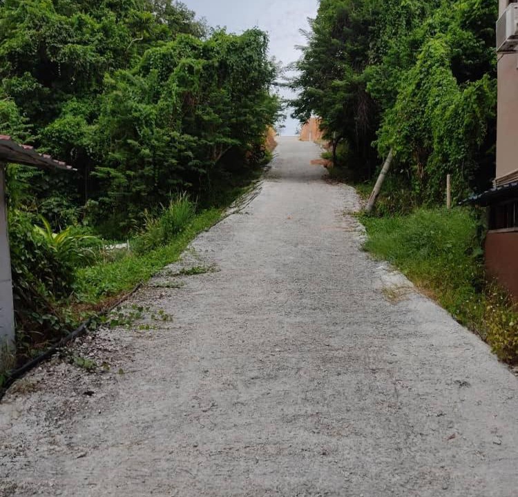 Photo of Others in Teluk Nipah