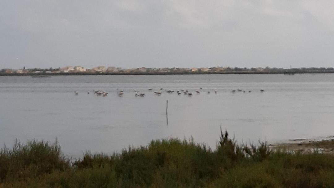 Photo of Others in Vic-la-Gardiole