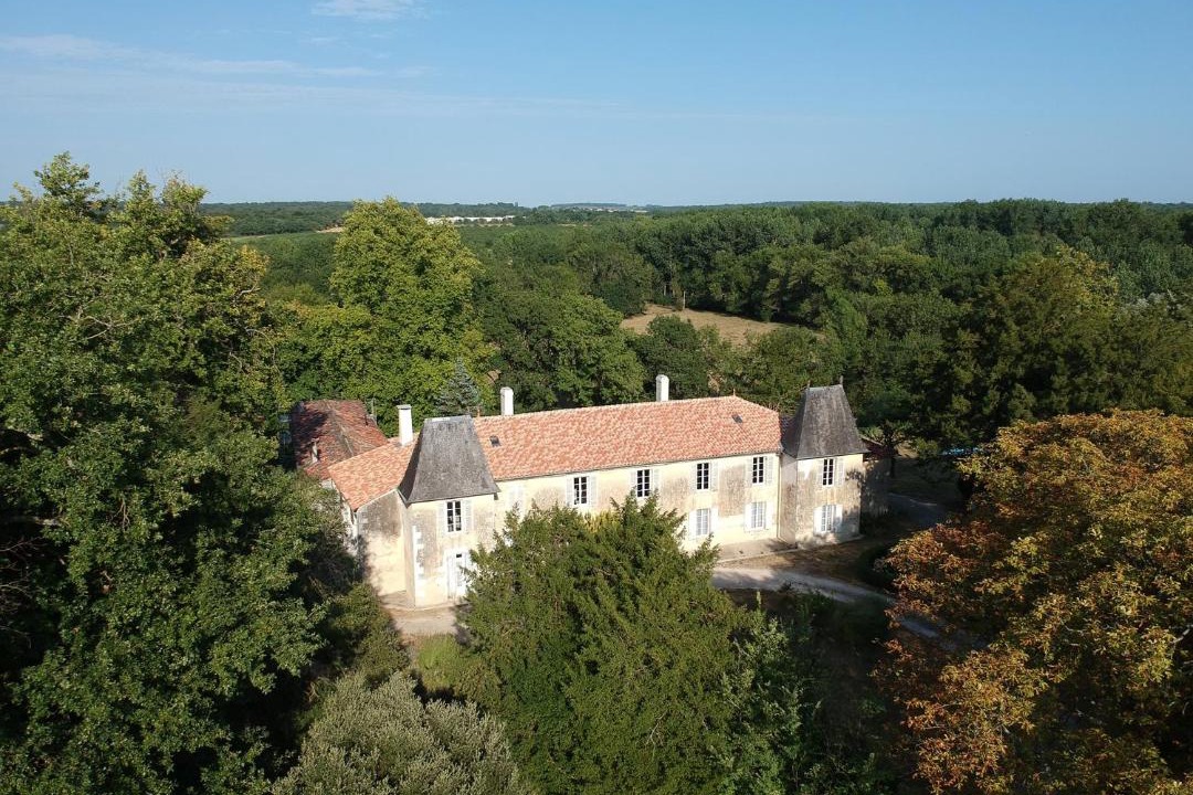 Photo of Others in Pons