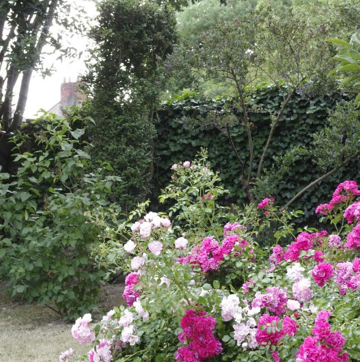 Photo of Others in Caserne Mellinet