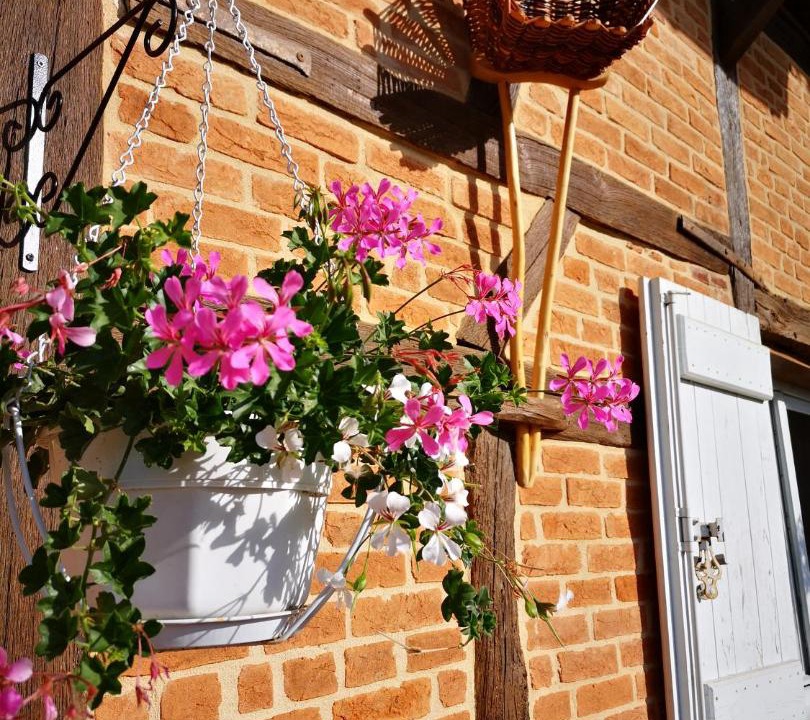 Photo of Others in Saint-Nizier-le-Bouchoux