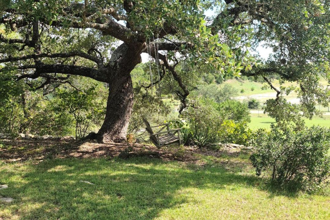 Photo of Others in Spring Branch