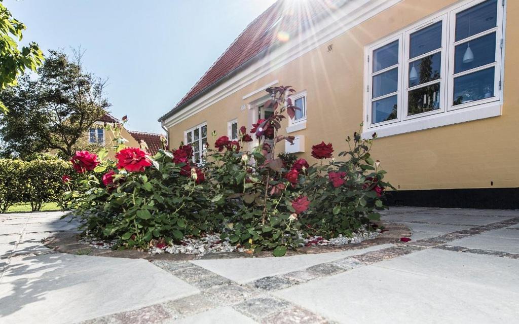 Photo of Others in Skagen