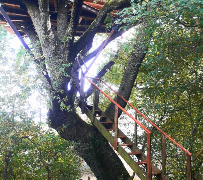 Photo of Others in Mones