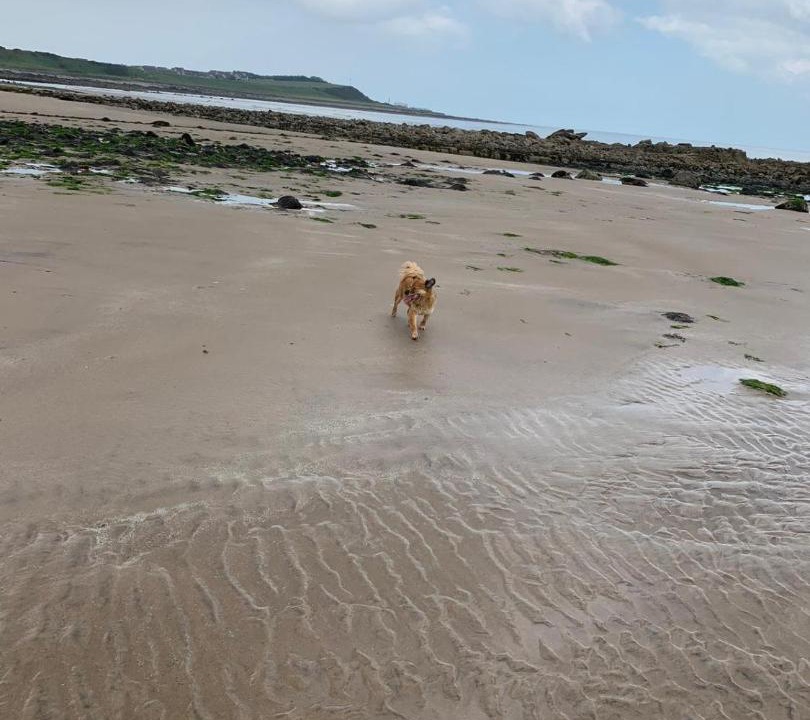 Photo of Outdoor in Banff