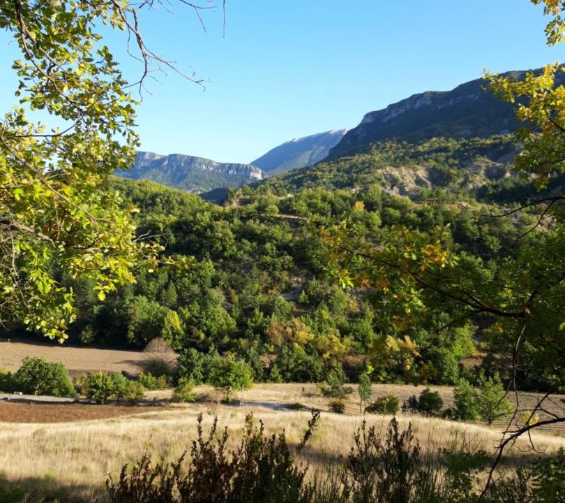 Photo of Others in Chateauneuf-Miravail