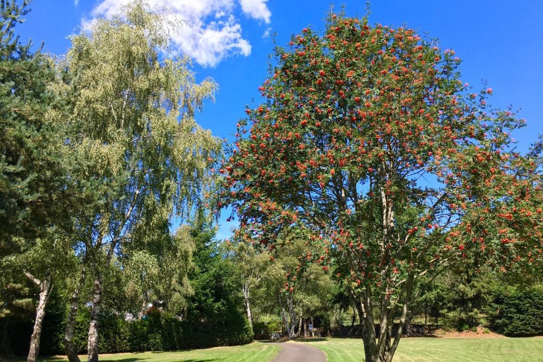Photo of Others in Aydat