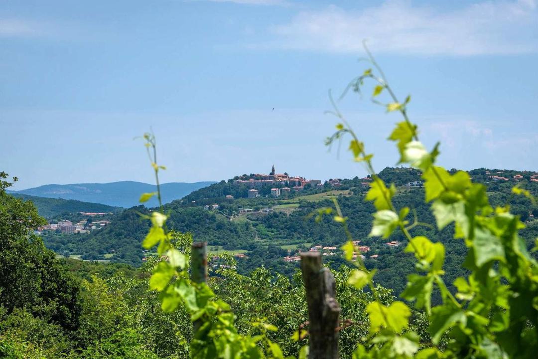 Photo of Others in Labin