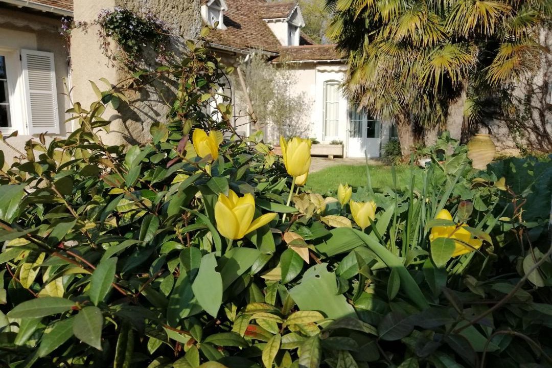 Photo of Others in Appoigny