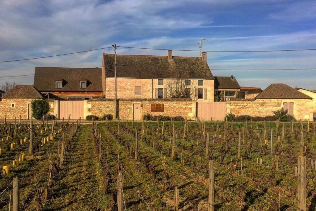 Photo of Others in Puligny-Montrachet
