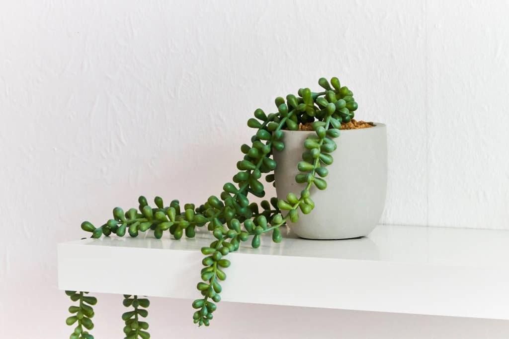 Photo of Others in Nottingham City Centre