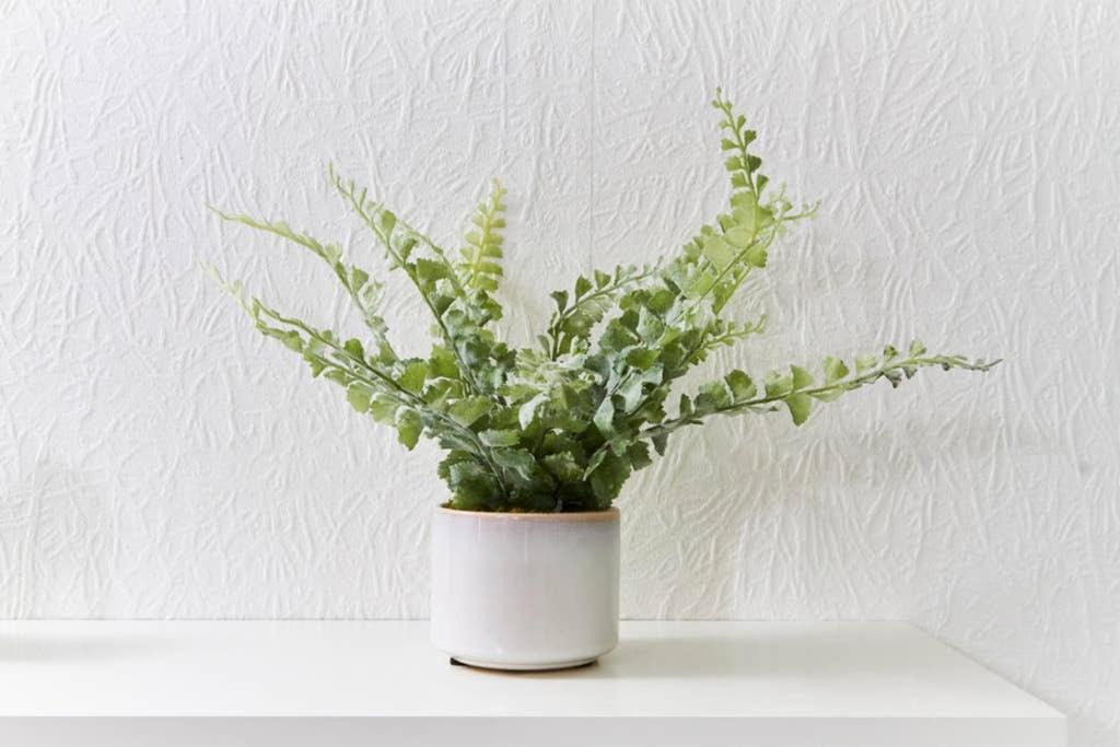 Photo of Others in Nottingham City Centre