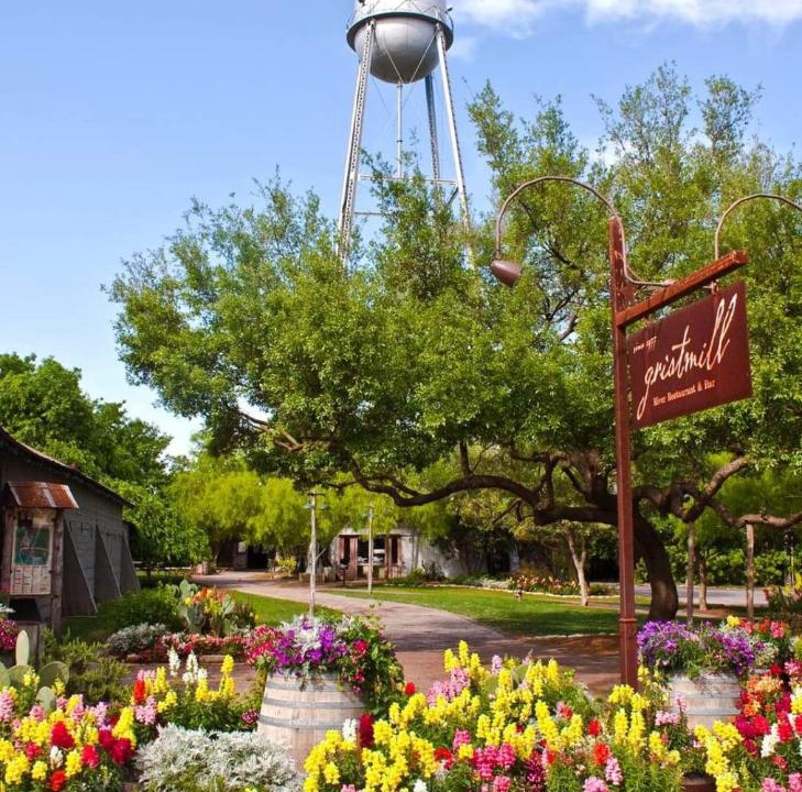 Photo of Others in Spring Branch