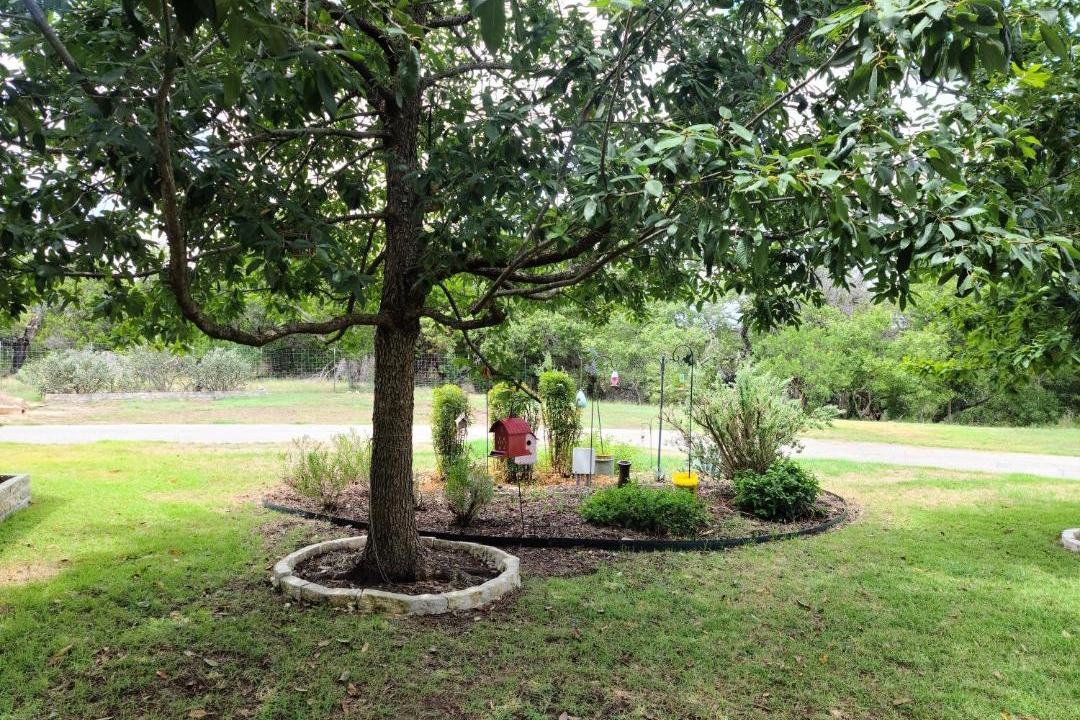 Photo of Others in Spring Branch