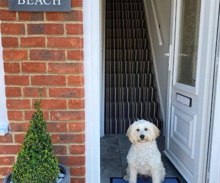 Photo of Others in Deal