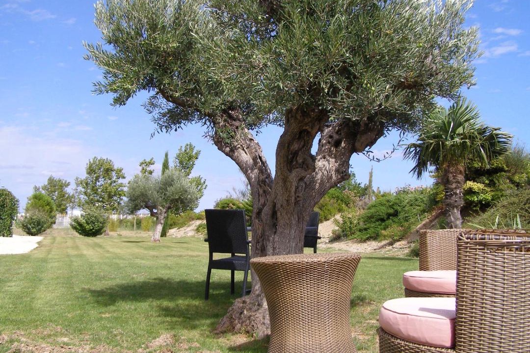 Photo of Others in Lezignan-Corbieres