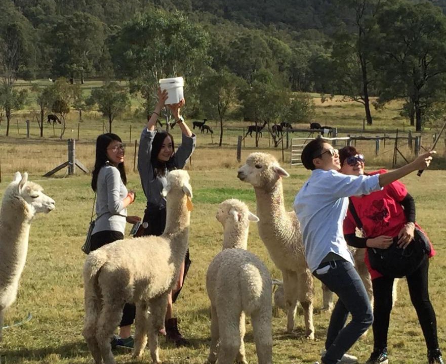 Photo of Others in Broke