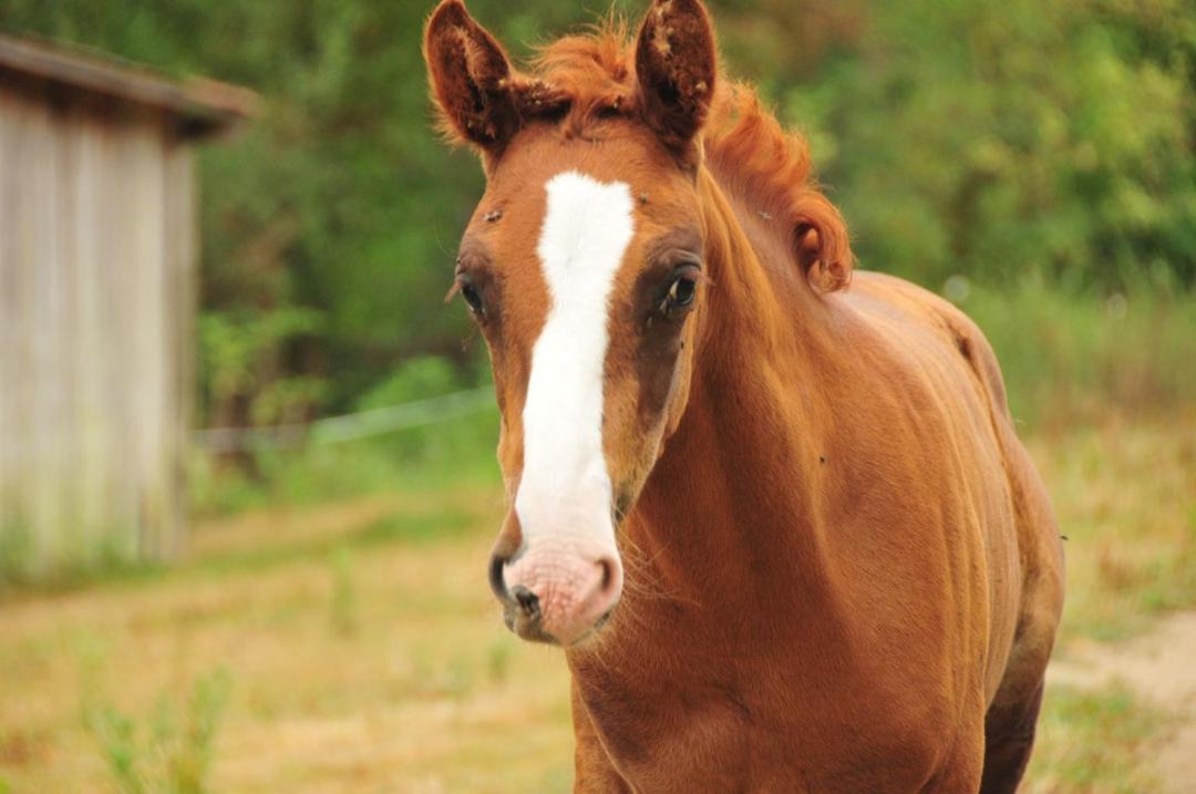 Photo of Others in Saint-Martin-de-Caralp