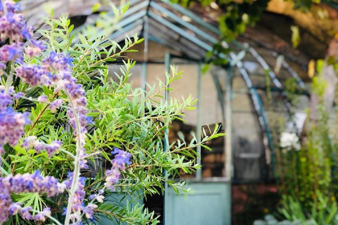 Photo of Others in Saint-Marcel-sur-Aude