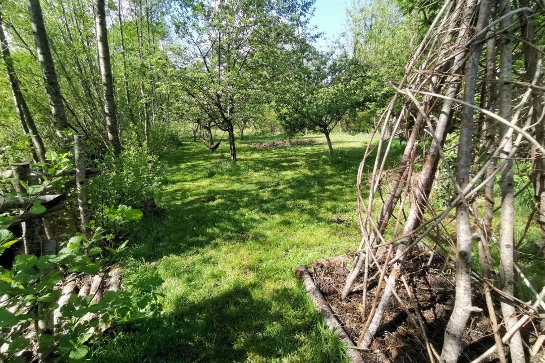 Photo of Others in Pensol