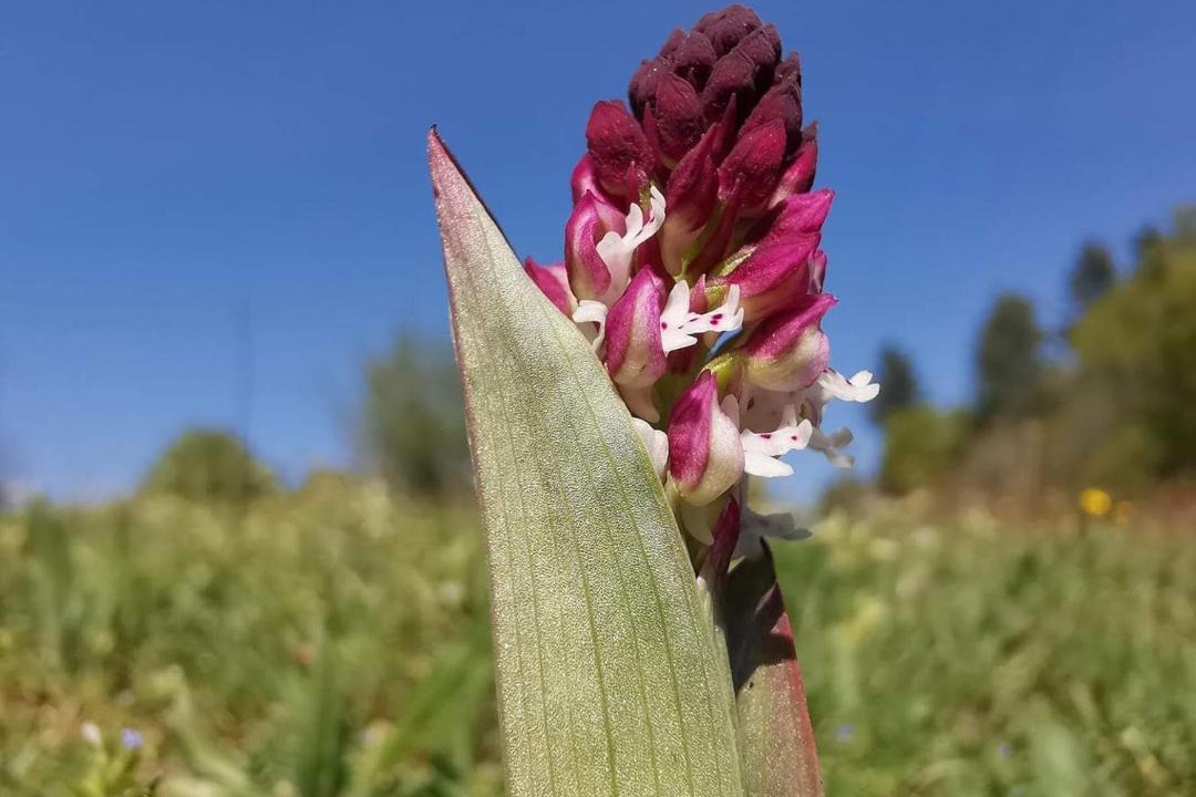 Photo of Outdoor in Pensol