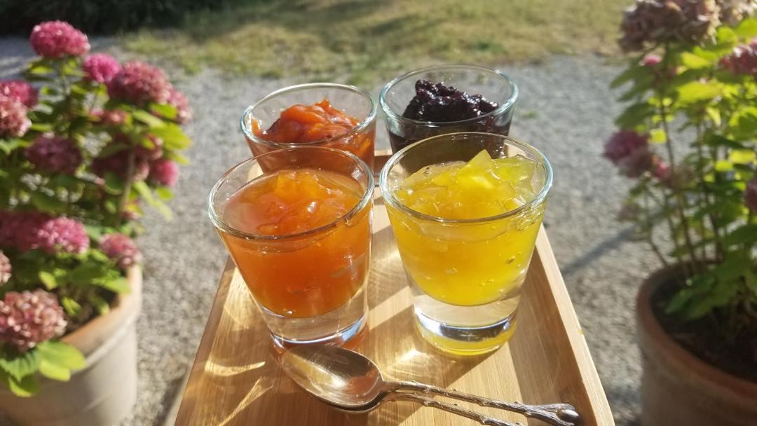 Photo of Others in Loubens-Lauragais