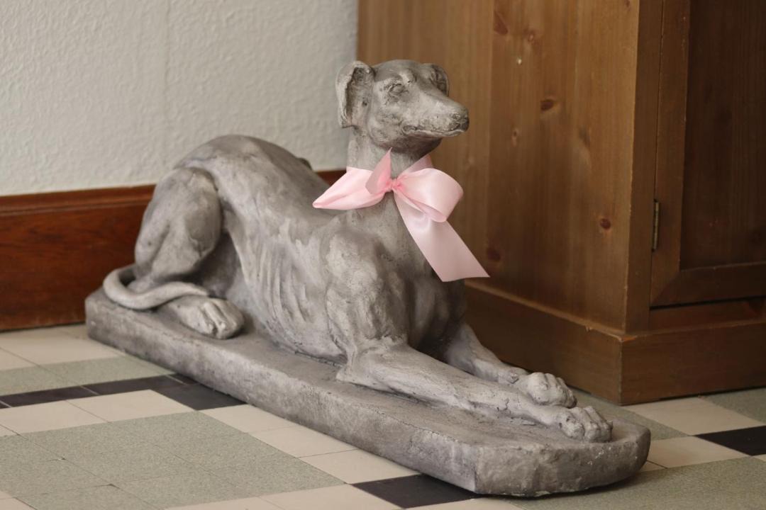 Photo of Others in Joue-les-Tours