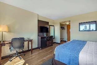 Photo of Others in Downtown Hartford